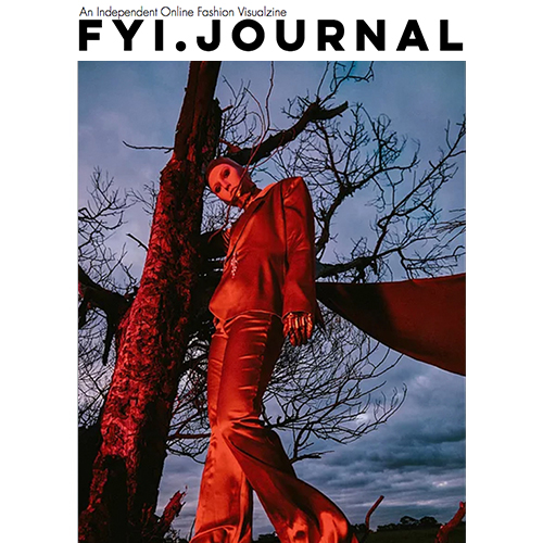 FYI. Journal